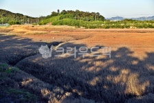 소래습지생태공원, 생태공원, 인천시, 소래포구, 갯골, 사진,이미지,일러스트,캘리그라피 - Deep bLUE작가 크라우드픽 - 저작권 걱정 없는... 