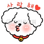 사랑해강아지, 사랑해, 강아지, 개, 강아지얼굴, 사진,이미지,일러스트,캘리그라피 - 포안나작가 크라우드픽 - 저작권 걱정 없는 상업용 이미지