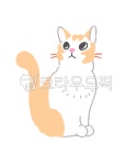 고양이, 반려묘, 동물, 집사, 동물병원, 사진,이미지,일러스트,캘리그라피 - 수식작가 크라우드픽 - 저작권 걱정 없는 상업용 이미지