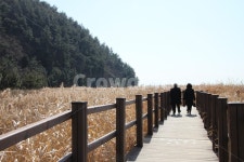 난간, banister, person, 인간, 사람, 사진,이미지,일러스트,캘리그라피 - 룩키스타작가 크라우드픽 - 저작권 걱정 없는 상업용 이미지