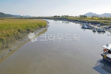 순천만습지, 순천만갈대길, 순천만, 낭파랑길61코스, 갈대, 사진,이미지,일러스트,캘리그라피 - Deep bLUE작가 크라우드픽 - 저작권 걱정 없는... 