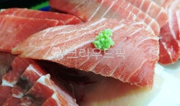 참치회, 참치, 회, 와사비, tuna, 사진,이미지,일러스트,캘리그라피 - SeeOn작가 크라우드픽 - 저작권 걱정 없는 상업용 이미지