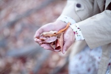 낙엽, 가을, 감성, 그리움, 외로움, 사진,이미지,일러스트,캘리그라피 - 착강작가 크라우드픽 - 저작권 걱정 없는 상업용 이미지