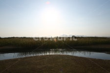 nature, 자연, 잔디, water, 다대포, 사진,이미지,일러스트,캘리그라피 - 용기시작가 크라우드픽 - 저작권 걱정 없는 상업용 이미지