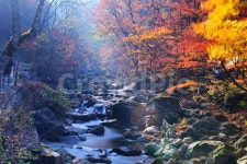 방태산, 가을, 바위, 단풍, 계곡, 사진,이미지,일러스트,캘리그라피 - Photophil작가 크라우드픽 - 저작권 걱정 없는 상업용 이미지