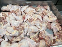 고기, meat, 정육, freshmeat, 닭, 사진,이미지,일러스트,캘리그라피 - marimaru작가 크라우드픽 - 저작권 걱정 없는 상업용 이미지