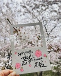 flower, 꽃, cherryblossom, 벚꽃, 내인생의봄날, 사진,이미지,일러스트,캘리그라피 - 이브크리스작가 크라우드픽 - 저작권 걱정 없는... 