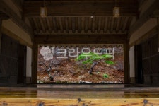 한옥, 집, 마루, 소나무, 대청마루, 사진,이미지,일러스트,캘리그라피 - bellky작가 크라우드픽 - 저작권 걱정 없는 상업용 이미지