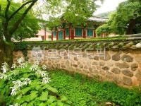 정원, 옥외, 담장, 목조건물, 나무, 사진,이미지,일러스트,캘리그라피 - Nepoto1작가 크라우드픽 - 저작권 걱정 없는 상업용 이미지