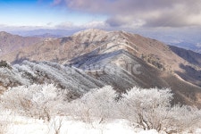 자연, 풍경, 배경, 산, 소백산, 사진,이미지,일러스트,캘리그라피 - Vaun작가 크라우드픽 - 저작권 걱정 없는 상업용 이미지