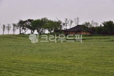 farm, 농장, rural, 농촌, field, 사진,이미지,일러스트,캘리그라피 - 영산공작가 크라우드픽 - 저작권 걱정 없는 상업용 이미지