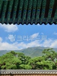 자연, nature, 옥외, outdoors, 나무, 사진,이미지,일러스트,캘리그라피 - 크림615작가 크라우드픽 - 저작권 걱정 없는 상업용 이미지