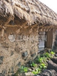 오두막, hut, nature, 자연, outdoors, 사진,이미지,일러스트,캘리그라피 - s0235작가 크라우드픽 - 저작권 걱정 없는 상업용 이미지