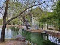 월화원, 중국, 이국적, 호수, 풍경, 사진,이미지,일러스트,캘리그라피 - Npong11h작가 크라우드픽 - 저작권 걱정 없는 상업용 이미지