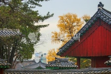 서울, 명륜동, 성균관, 유림회관, 건물, 사진,이미지,일러스트,캘리그라피 - imlover작가 크라우드픽 - 저작권 걱정 없는 상업용 이미지