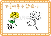 어린이집활동지, 유치원활동지, 가을활동지, 가을꽃활동지, 가을꽃일러스트, 사진,이미지,일러스트,캘리그라피 - seinT작가 크라우드픽 - 저작권... 