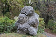 rock, 바위, 돌조각, 곰바위, 석상, 사진,이미지,일러스트,캘리그라피 - 사진작가 박용주작가 크라우드픽 - 저작권 걱정 없는 상업용 이미지