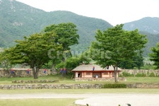 초가집, 전통, 집, 가옥, 돌담, 사진,이미지,일러스트,캘리그라피 - heyhey작가 크라우드픽 - 저작권 걱정 없는 상업용 이미지