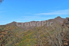 치악산, 가을, 풍경, 단풍, 탐방, 사진,이미지,일러스트,캘리그라피 - 릴작가 크라우드픽 - 저작권 걱정 없는 상업용 이미지