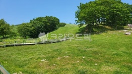 nature, 자연, field, 농장, 목장, 사진,이미지,일러스트,캘리그라피 - impjungi작가 크라우드픽 - 저작권 걱정 없는 상업용 이미지