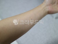 팔, arm, 사람팔, 사람, 인간, 사진,이미지,일러스트,캘리그라피 - sister작가 크라우드픽 - 저작권 걱정 없는 상업용 이미지