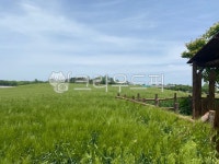 힐링, 초원, 평화, 고요, 청보리, 사진,이미지,일러스트,캘리그라피 - samio작가 크라우드픽 - 저작권 걱정 없는 상업용 이미지