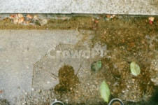 반영샷, 비오는거리, 비오는날, 필름, filmphoto, 사진,이미지,일러스트,캘리그라피 - 멸치PD작가 크라우드픽 - 저작권 걱정 없는 상업용 이미지
