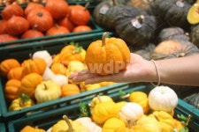 호박, 마트, 음식, food, pumpkin, 사진,이미지,일러스트,캘리그라피 - 듀이작가 크라우드픽 - 저작권 걱정 없는 상업용 이미지