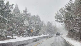 nature, 자연, outdoors, winter, 폭풍, 사진,이미지,일러스트,캘리그라피 - MINH 김민형작가 크라우드픽 - 저작권 걱정 없는 상업용 이미지