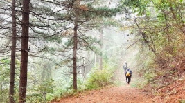 등산, 산행, 힐링, 산, 나무, 사진,이미지,일러스트,캘리그라피 - 까치집작가 크라우드픽 - 저작권 걱정 없는 상업용 이미지