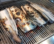 장어숯불구이, 장어구이, 장어, 숯불구이, 숯불, 사진,이미지,일러스트,캘리그라피 - 먹방작가 크라우드픽 - 저작권 걱정 없는 상업용 이미지