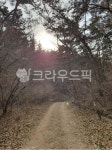 자연, outdoors, 옥외, 영남알프스, 길, 사진,이미지,일러스트,캘리그라피 - Nhee9293작가 크라우드픽 - 저작권 걱정 없는 상업용 이미지