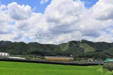 뭉게구름, 자연, 산, 옥외, 식물, 사진,이미지,일러스트,캘리그라피 - 조은사진작가 크라우드픽 - 저작권 걱정 없는 상업용 이미지