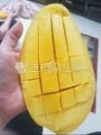 여름과일, 망고, 킹망고, mango, 과일, 사진,이미지,일러스트,캘리그라피 - 멋진친구작가 크라우드픽 - 저작권 걱정 없는 상업용 이미지