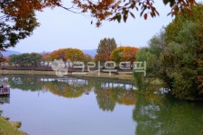 호수, 장자호수공원, 구리, 장자호수, 공원, 사진,이미지,일러스트,캘리그라피 - 날개를 접은 흰동가리작가 크라우드픽 - 저작권 걱정 없는 상업용... 