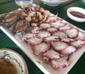 문어숙회, 전복, 멍게, 해삼, 해녀식당, 사진,이미지,일러스트,캘리그라피 - 케이트k8작가 크라우드픽 - 저작권 걱정 없는 상업용 이미지