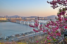 동호대교, 도심풍경, 강변북로, 달맞이근린공원, 옥수동, 사진,이미지,일러스트,캘리그라피 - Deep bLUE작가 크라우드픽 - 저작권 걱정 없는... 