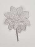 꽃, 연필그림, 흑백, 손그림, 드로잉, 사진,이미지,일러스트,캘리그라피 - 소원 다 이루어져라작가 크라우드픽 - 저작권 걱정 없는 상업용 이미지