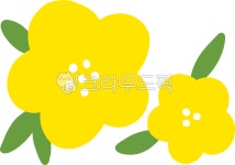 노란꽃, 유채꽃, 봄, 봄꽃, 꽃배경, 사진,이미지,일러스트,캘리그라피 - aboundmine작가 크라우드픽 - 저작권 걱정 없는 상업용 이미지