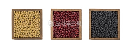 콩, 콩류, 대두, 강낭콩, 서리태, 사진,이미지,일러스트,캘리그라피 - 감자투어작가 크라우드픽 - 저작권 걱정 없는 상업용 이미지