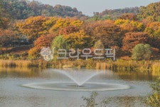 인천대공원, 공원, 호수, 수면, 반영, 사진,이미지,일러스트,캘리그라피 - imlover작가 크라우드픽 - 저작권 걱정 없는 상업용 이미지