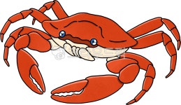 게, 꽃게, crab, 해물, seafood, 사진,이미지,일러스트,캘리그라피 - 시월그림작가 크라우드픽 - 저작권 걱정 없는 상업용 이미지