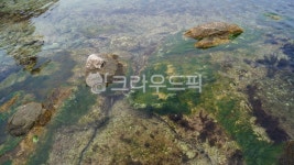 강릉, 바다, 소돌해변, 해변, sea, 사진,이미지,일러스트,캘리그라피 - 실비아작가 크라우드픽 - 저작권 걱정 없는 상업용 이미지