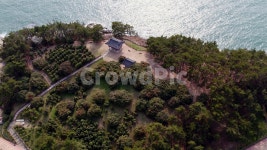 동백, 동백정, 동백꽃, 꽃, 자연, 사진,이미지,일러스트,캘리그라피 - 선우연작가 크라우드픽 - 저작권 걱정 없는 상업용 이미지