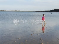 갯벌, 성산일출봉, 오조리, 아이, 사람, 사진,이미지,일러스트,캘리그라피 - 노란냐옹이작가 크라우드픽 - 저작권 걱정 없는 상업용 이미지