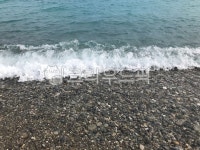 자연, nature, 바다, sea, 물, 사진,이미지,일러스트,캘리그라피 - smjh89작가 크라우드픽 - 저작권 걱정 없는 상업용 이미지