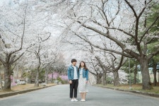 커플, 부부, couple, 봄, 벚꽃, 사진,이미지,일러스트,캘리그라피 - 노루작가 크라우드픽 - 저작권 걱정 없는 상업용 이미지