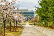 고대, 고려대, 고려대학교, 서울, 안암동, 사진,이미지,일러스트,캘리그라피 - imlover작가 크라우드픽 - 저작권 걱정 없는 상업용 이미지