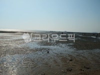 장항읍, 해수욕장, 갯벌, 바닷가, 바다, 사진,이미지,일러스트,캘리그라피 - pswtravel작가 크라우드픽 - 저작권 걱정 없는 상업용 이미지