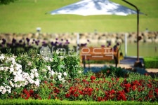 순천만국가정원1호, 테마공원, 자연생태공원, 자연, 옥외, 사진,이미지,일러스트,캘리그라피 - pandora4077작가 크라우드픽 - 저작권 걱정... 